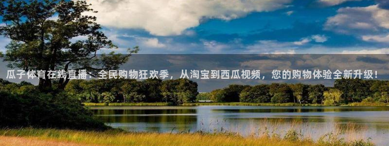 919体育在线直播官网：瓜子体育在线直播：全民购物狂欢季，从淘宝到西瓜视频，您的购物体验全新升级！