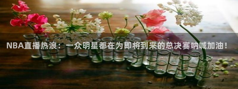 919体育直播下载：NBA直播热浪：一众明星都在为即将到来的总决赛呐喊加油！