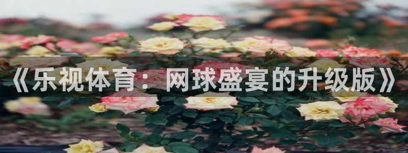 919体育直播平台在线观看：《乐视体育：网球盛宴的升级版》