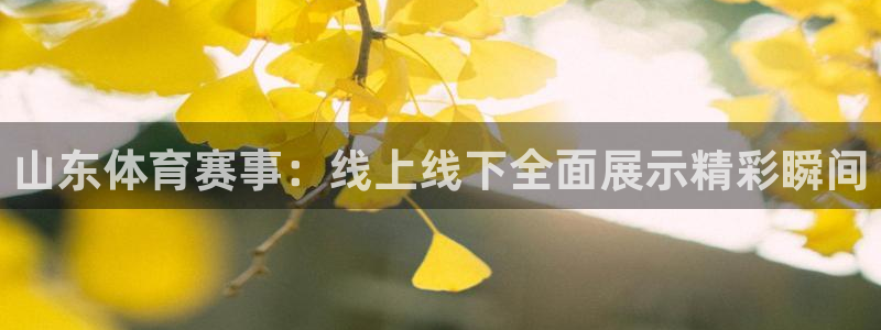 01zbtv直播体育919：山东体育赛事：线上线下全面展示精彩瞬间