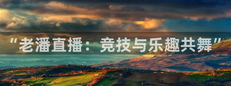919体育直播平台在线观看：“老潘直播：竞技与乐趣共舞”
