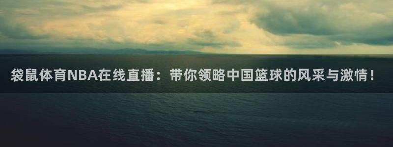 919nba直播篮球比赛：袋鼠体育NBA在线直播：带你领略中国篮球的风采与激情！
