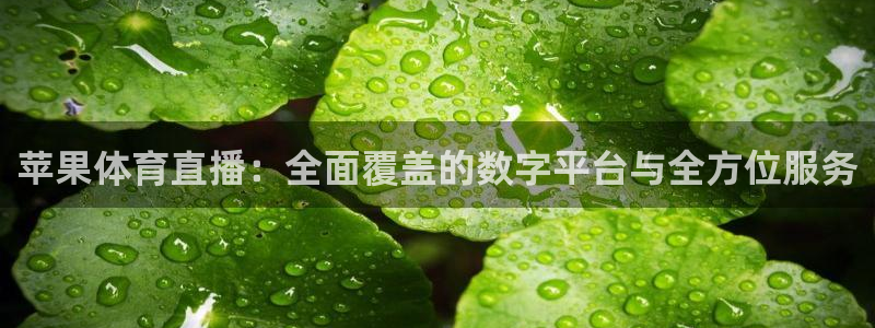 919体育直播苹果版：苹果体育直播：全面覆盖的数字平台与全方位服务