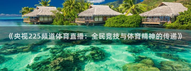919看球直播官网入口：《央视225频道体育直播：全民竞技与体育精神的传递》