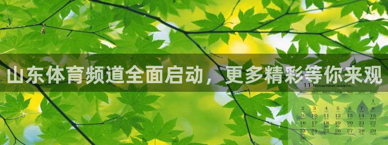 919足球直播 01篮球直播