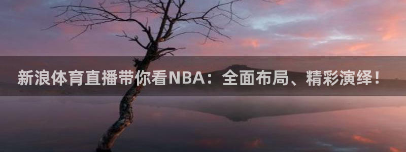 919nba直播看球观看：新浪体育直播带你看NBA：全面布局、精彩演绎！