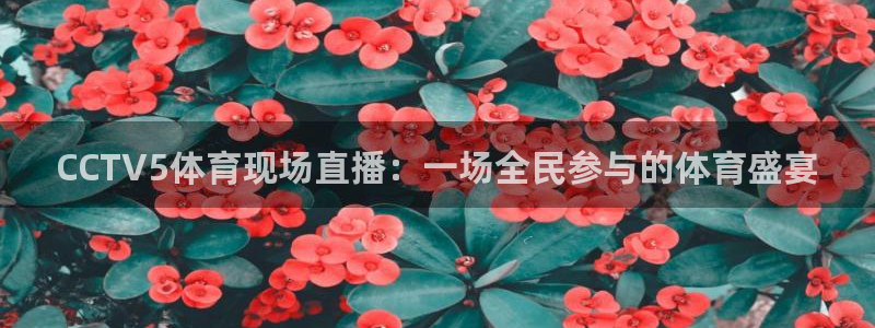919nba直播篮球比赛：CCTV5体育现场直播：一场全民参与的体育盛宴